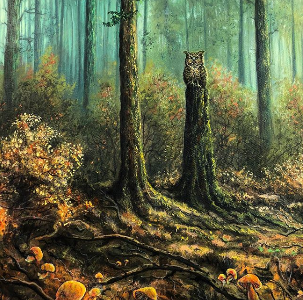 看他画作的视觉点 向上一看有点压迫性 巨大的原始森林所覆盖 整个