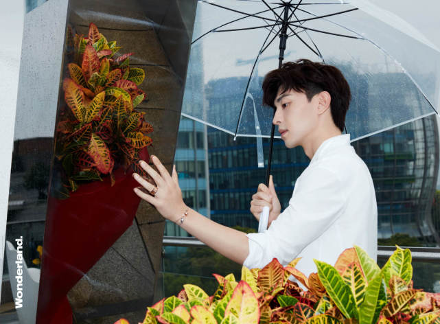 邓伦雨中天台大片