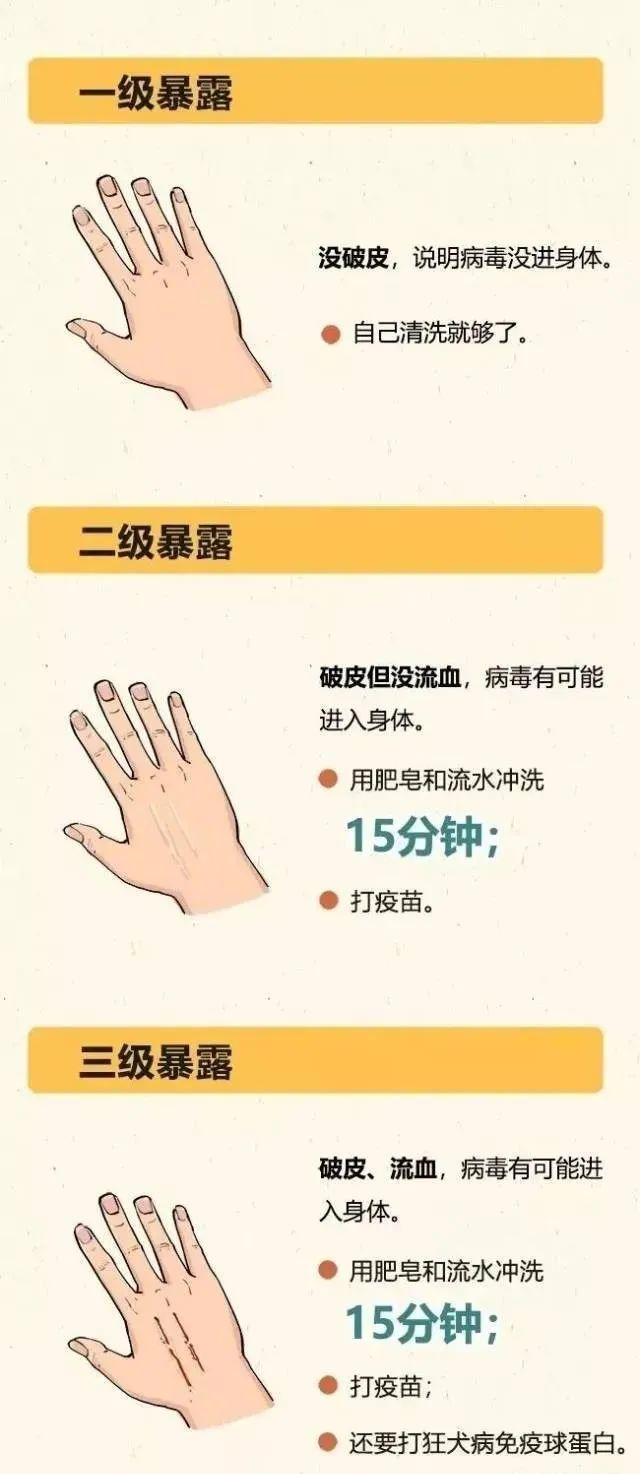 紧急提醒！近期多地有人被它咬伤，有医院一天接诊119人！