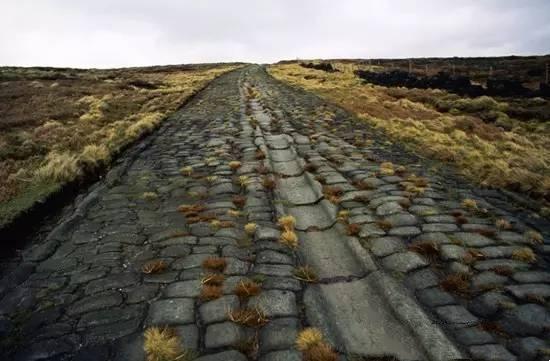 由此可见,在中世纪的英格兰,道路的维护是一项全民的工作.