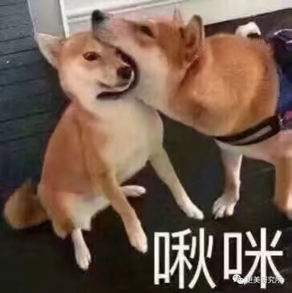 翻了100张照片，才发现她是贵圈换头最失败的女星