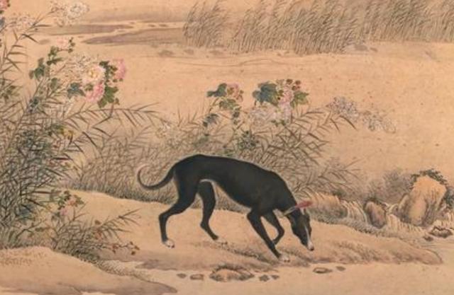 古代狗咬了人狗会处死吗？不会，会这样做