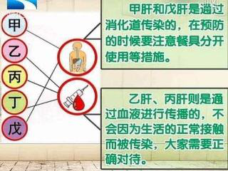 1,注意饮食卫生 甲型肝炎病毒和戊型肝炎病毒主要都是通过消化道传播