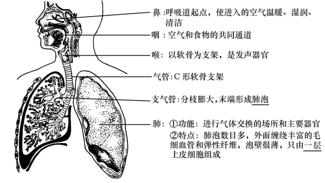 干货|中考生物识图题常用结构示意图汇总,复习必备!