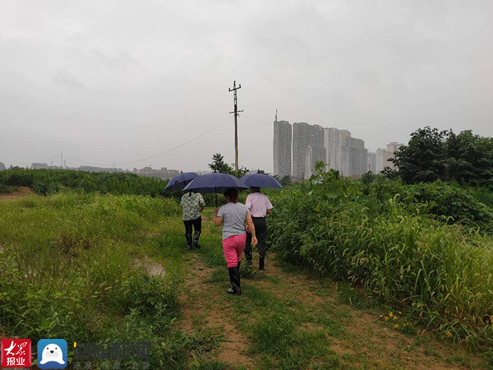 泰安高新区北集坡街道:风雨中的坚守 沙家洪沟全力做好防汛工作