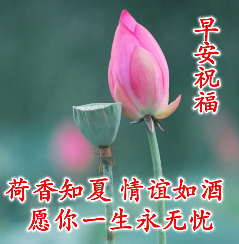 微信朋友圈早安问候语图片带字温馨,11张唯美漂亮的早晨祝福语图片