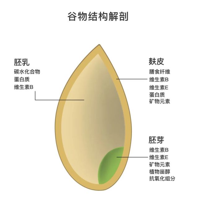 (图片来源:soogif) 而面粉,是小麦加工之后的产物.