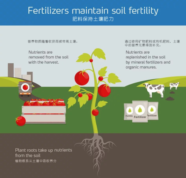 【干货】植物营养六大吸收规律及主要养分的生理功能