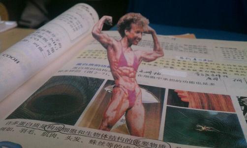 高中生物课本"肌肉女"插图被删,专家解释:给孩子带来不良影响!