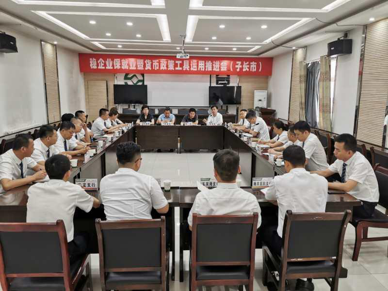 子长市经济总量_子长市图片