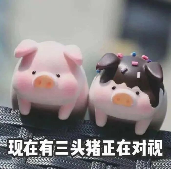 抖音表情包大全丨现在有三头猪正在对视