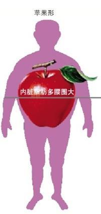 腹部脂肪，臀腿脂肪，丢不掉？那是你没用对方法