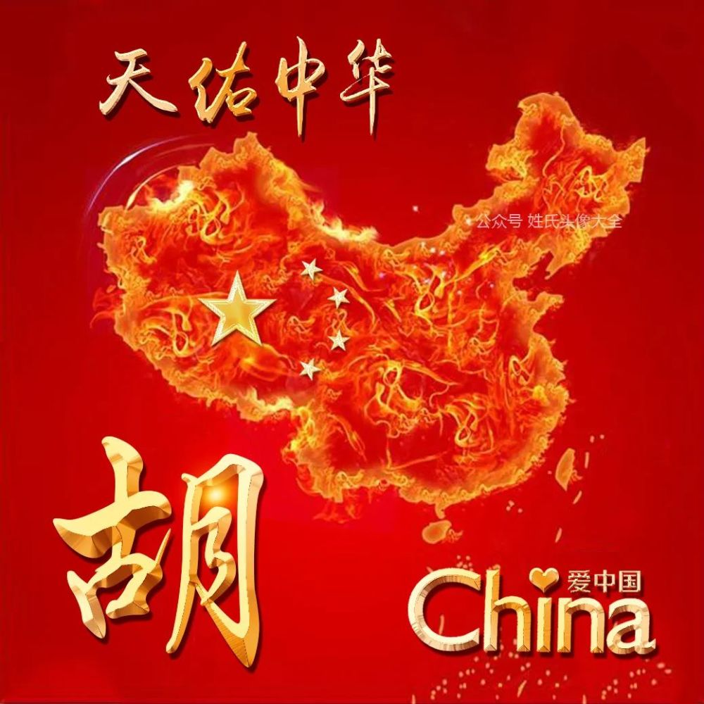 2022爱国姓氏头像微信头像天佑中华iloveyou