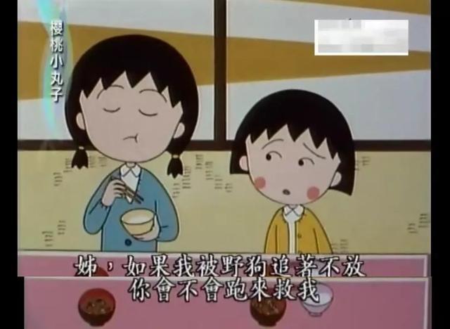 《樱桃小丸子》停播,30年后,看懂这些人生真相