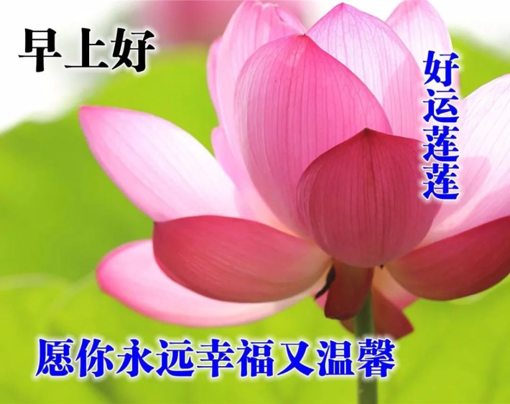 早上好祝福图片发朋友圈 干净暖心的早安问候语2020