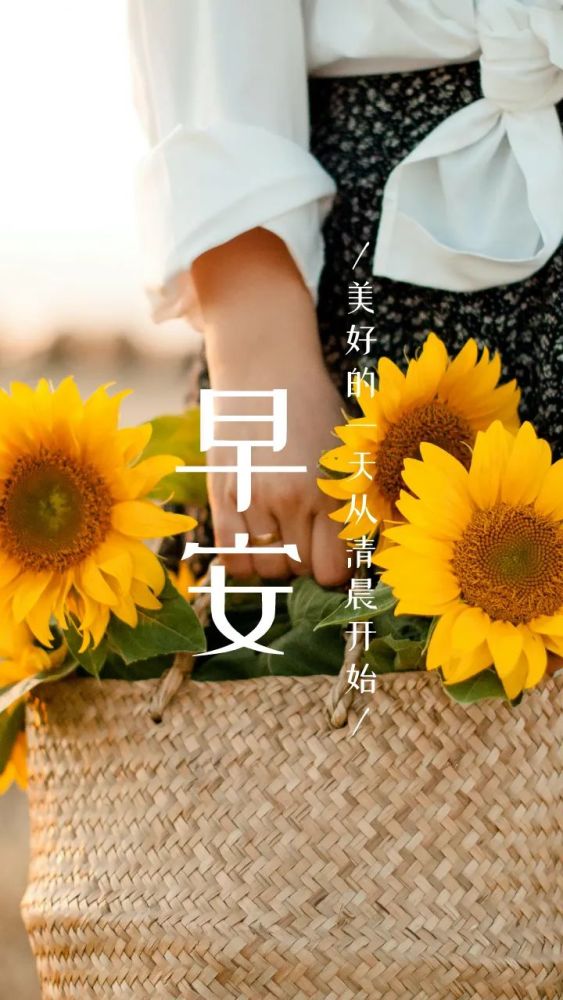 早安晚安语录图片句子 早安心语朋友圈励志语录图片