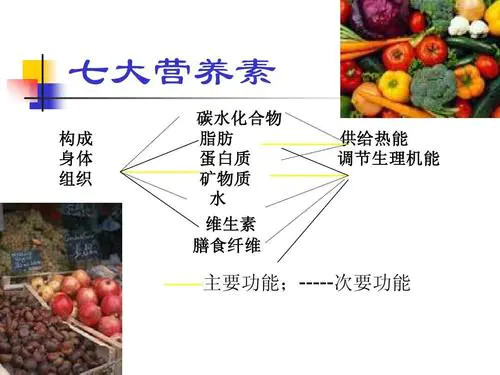 小朋友，你是否有问号，为什么自家猫咪不进食？