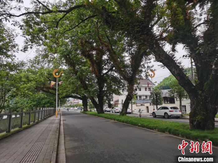 小康路上的丽水莲都：村美民富气象新