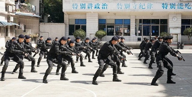 战训|酷暑至、练兵时！重庆特警吹响实战练兵号角