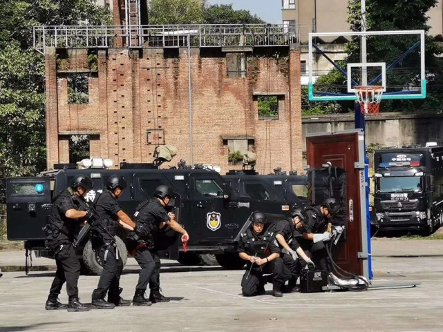 战训|酷暑至、练兵时！重庆特警吹响实战练兵号角