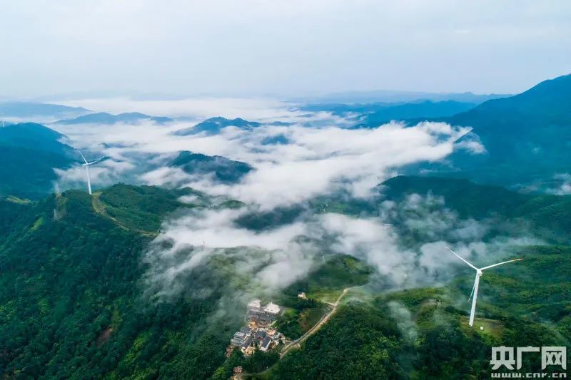 东山岭人口_东山岭图片(3)