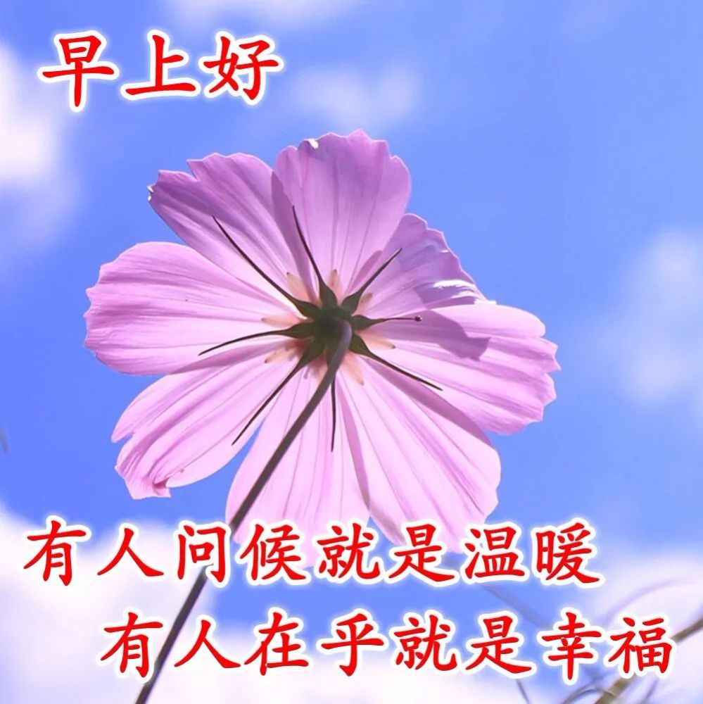 7月31日最后一天清晨早安问候动态表情图片 早上好祝福美图动态