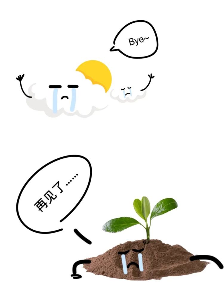 看图猜成语:答对6题,你就是王者,12题,全部猜对是天才