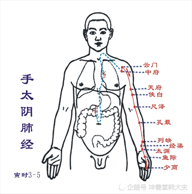 穴位:鱼际,太渊,经渠,列缺,孔最,尺泽.位置:手臂内侧肺经循行部位.