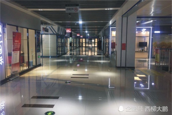 2020西柳GDP_西柳美女