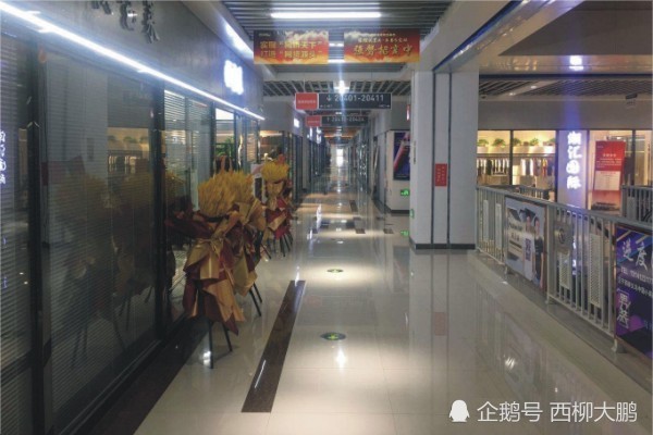 2020西柳GDP_西柳美女