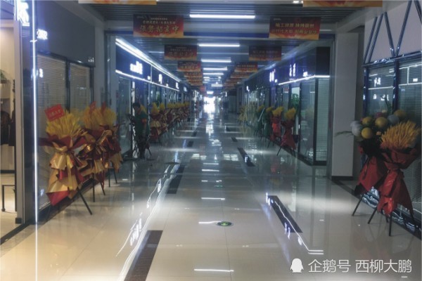 2020西柳GDP_西柳美女