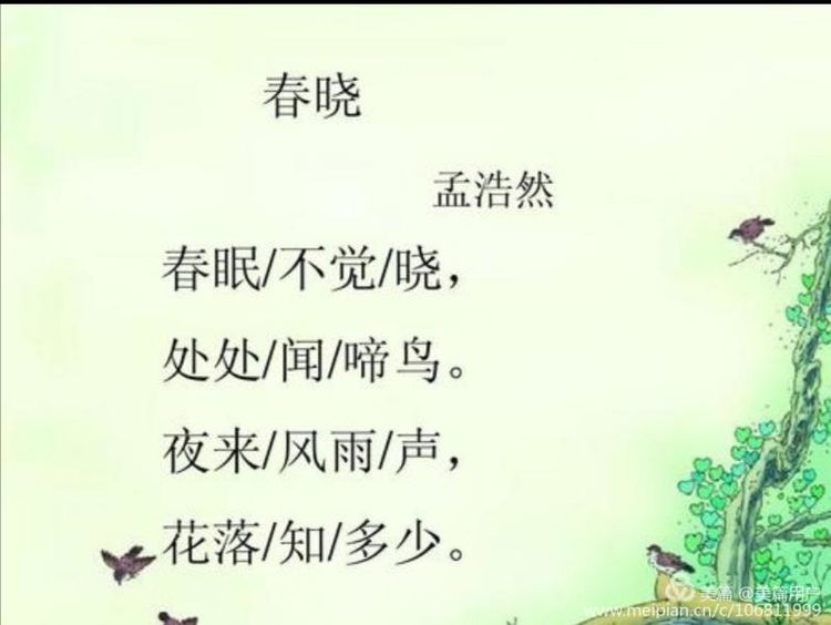 《古风·诗韵》——古诗词赏析之《春晓》