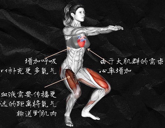 黄宗泽一条微博让健身者疑问，为什么健身不练腿，迟早会后悔？
