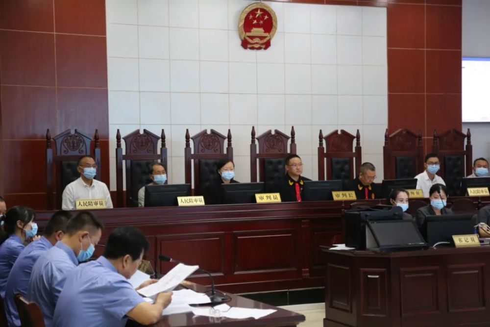 等29人(包括分案审理的一名未成年人)杨树林,任礼钧,杜源,谢龙波,张明