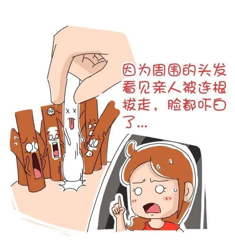 白头发拔一根长十根是真的吗