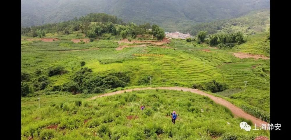 砚山县阿猛镇人口有多少_砚山县阿猛镇上拱(3)