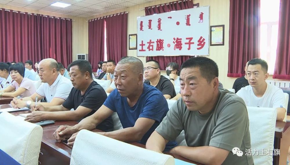 海子乡召开2020年上半年经济运行暨下半年工作部署会