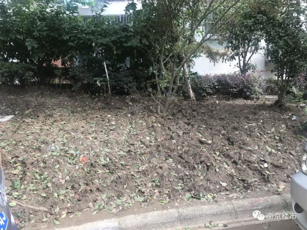 刚刚南京业主哭诉：我家小区物业太差，房价不涨反跌