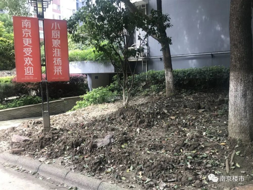 刚刚南京业主哭诉：我家小区物业太差，房价不涨反跌