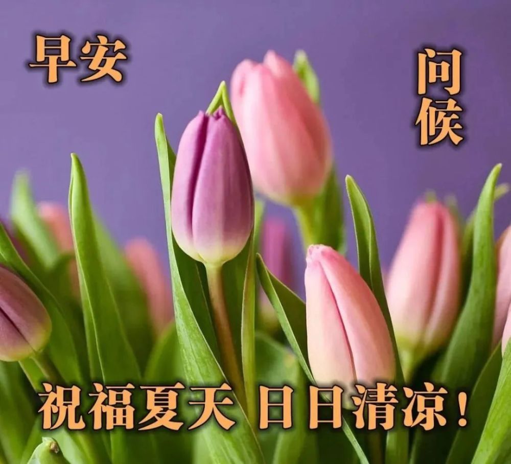 微信超级漂亮的早安祝福图片 非常走心的早安问候短信