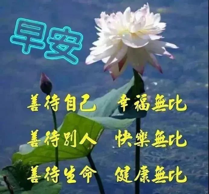 微信超级漂亮的早安祝福图片 非常走心的早安问候短信
