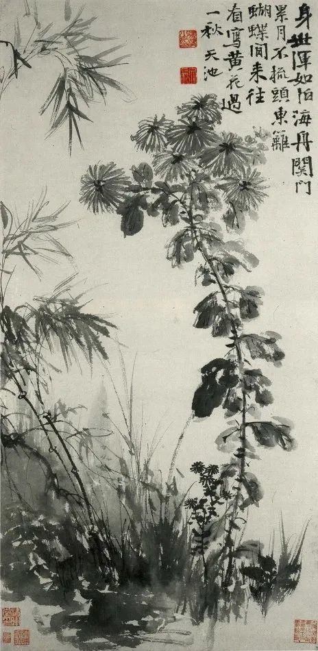 菊花图 明 唐寅(1470-1523) 《菊花》 【唐】 元稹 秋丛绕舍似陶家