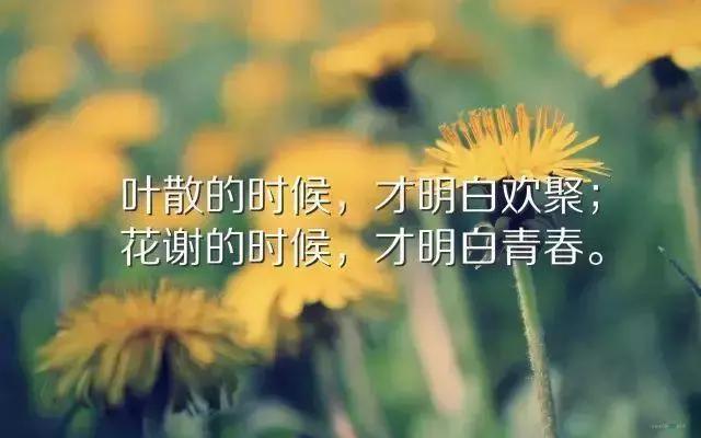 适合发朋友圈的励志说说语录,句句充满正能量