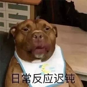 7· 我饿了 果然诚实可靠幽默风趣温柔善良正义可爱不能当饭吃.