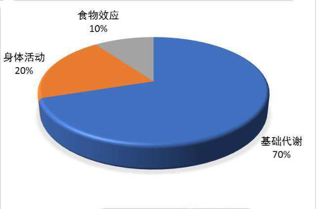 8个方法有效提高身体代谢能力，帮你养成“易瘦体质”