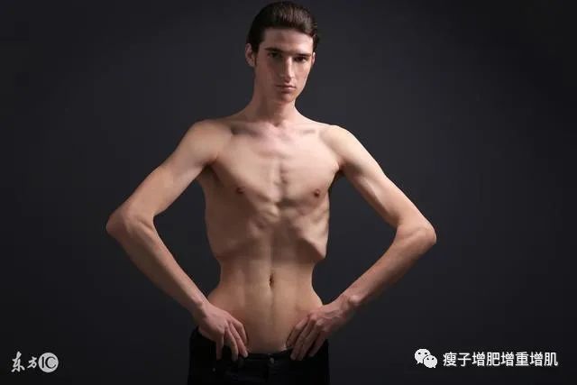 增肌增重长胖法宝――拯救瘦子重返人间！