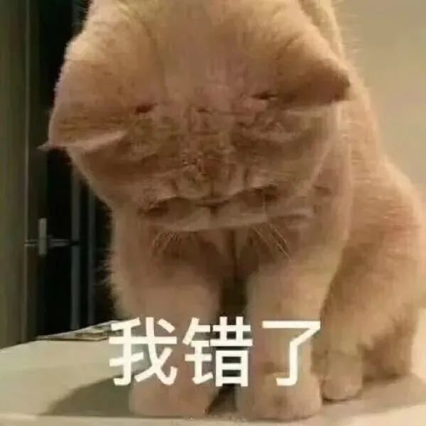 表情包 猫生气表情包