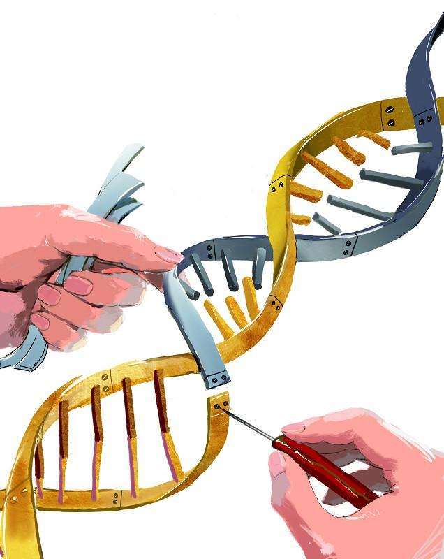 聊聊部分top房企在就业中的号召力