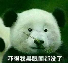 表情包:瞧把小可爱都气成斗鸡眼了!