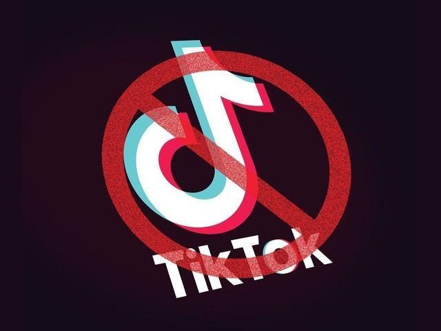 抖音海外版tiktok,被多国禁用,美企估价500亿美元欲购